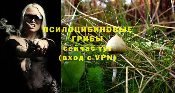 apvp Абдулино