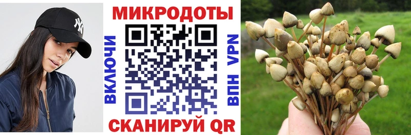 Галлюциногенные грибы прущие грибы  дарнет шоп  Старый Крым 